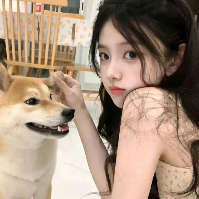 金刚斗恐龙